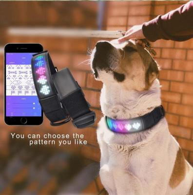 China Reflective Customizable Led Waterproof Rechargeable Nylon Dog Collar USB Flashing Light Up Dog Led Collar With Led Lights for sale