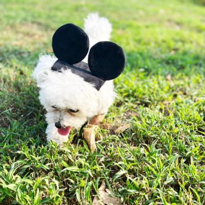 China Viable Hot Cute Costume Cat Headgear Disny Dog Headwear dog ears headbandCute mouse ears mick sale dogs pets costume accessories for sale