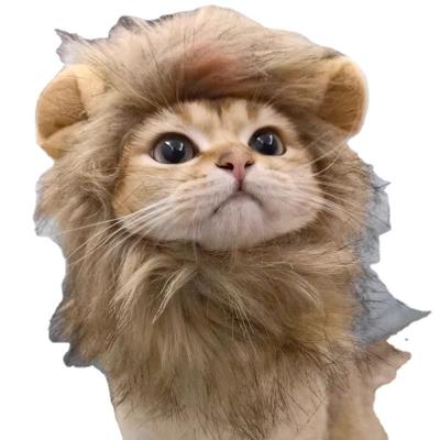 China Cute Funny Viable Pet Halloween Christmas Clothes Costume With Ears Lion Mane Wig Cat Dog Hat for sale