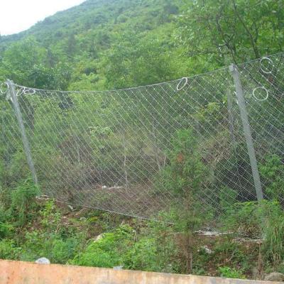 China Chain Link Mesh SNS Diamond Netting For Protection Rockfall Netting To Cover Slope To Protect for sale