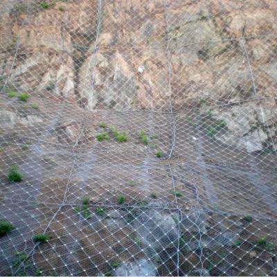 China Chain Link Mesh Falling Mountain Rockfall Net Netting For Slope Protection for sale