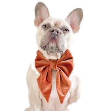 China Bow 2021 Sustainable Hot Sale Custom Velvet Bow Tie Instagram Dog Sailor Material for sale