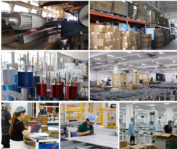 Verified China supplier - Yiwu Leyun Import & Export Co., Ltd.