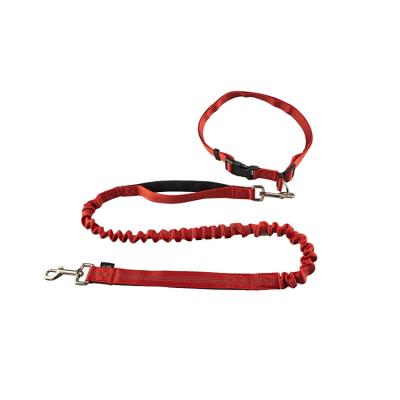 China Pet Dog Leash Portable Working Reflective Dog Leash Double Retractable Leash for sale