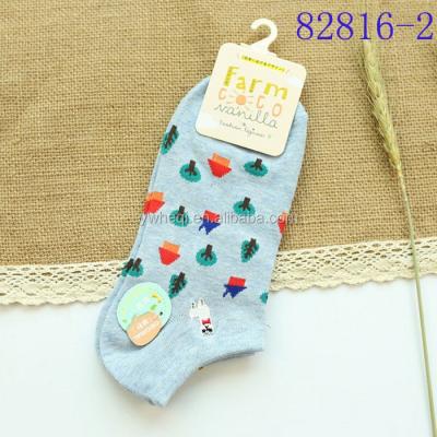 China Antibacterial Woman Fashion Cotton Colorful Sports Socks Light Up Socks for sale