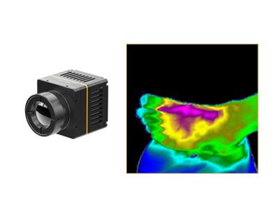 China 384x288/17μm de Module Snelle Integratie van de Thermische Weergavecamera voor Gezondheidszorg Te koop