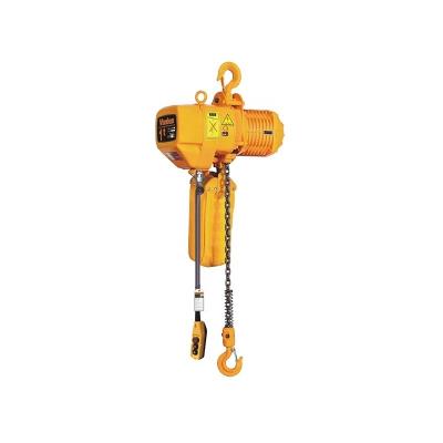 China Indusrial Hook Suspension Hoist Hook Type Electric Chain Hoist For Equipment Lifting for sale