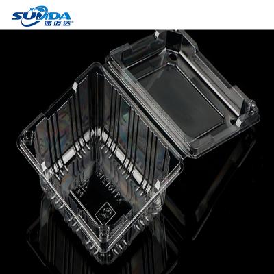 China Recycled Materials Customization StylesPlastic Multi Square Box Clear Fruit Container Disposable Food Container Factory Wholesale for sale