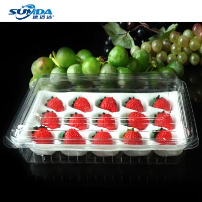 China Recycled StylesFold Disposable Materials Customization Materials Fruit Box Food Packing Container Disposable Plastic Container Factory Wholesale for sale