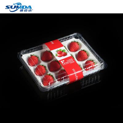 China Recycled Customization StylesMulti Materials Fruit and Vegetable Packaging Container Food Storage Container Factory Wholesale for sale