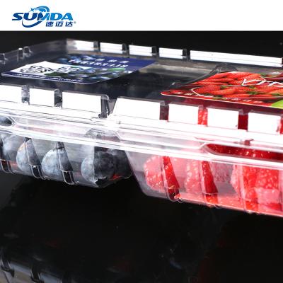 China Factory Wholesale Transparent Recycled Plastic Box Food Packaging Container Multi StylesDisposable Materials Customization Fruit Plastic Container for sale