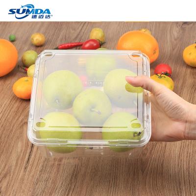 China Recycled materials customization multi styles fruit box fold package food box food container plastic packaging factory wholesale for sale