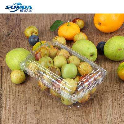 China Recycled Materials Customization Multi Styles Apple Fruit Packaging Boxes Clear Hard Plastic Boxes Plastic Food Container Factory Wholesale for sale