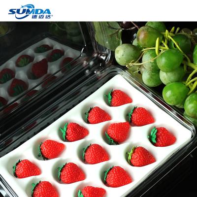 China Factory wholesale reused multi clear plastic boxes food container strawberry box materials customization styles small for sale