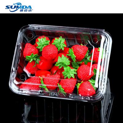 China Materials Customization Multi Styles Recycled Plastic Food Container Fold Pack Food Box Fruit Boxes For Factory Shipping Wholesale for sale