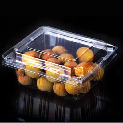 China Business& Hot Sale Shopping Disposable Clear Plastic Fruit Containers Square Shape With Hinged Lid for sale