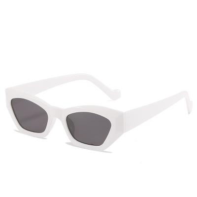 China Anti-ultraviolet White Sunglasses Women Polarized Sunglasses Beach Sun Glass Cat Eye for sale