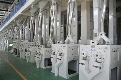 China Turn key project 500 T/D fully automatic rice mill machine for sale