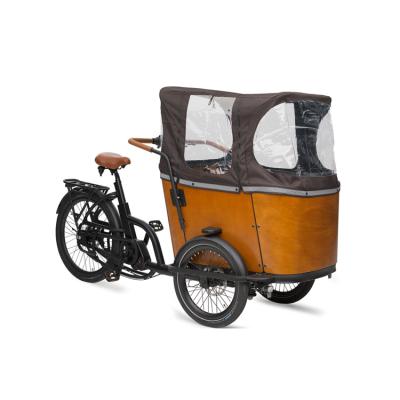 China Multifunctional hot sale e-cargo e-bike family e electric bicycle cargo bike for sale