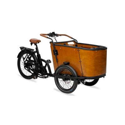 China Aluminum alloy electric tricycles with aluminum frame for adults high quality and good protection delivery electric bike cargo electric bakfiets for sale