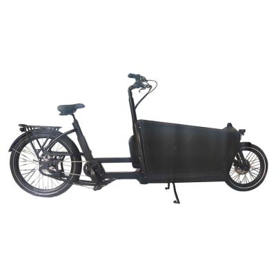 China Factory Price Luxury Elektrische Bakfiets Two Wheels Electric Cargo Bike Tricycles for Carry Children and Carry Goods for sale