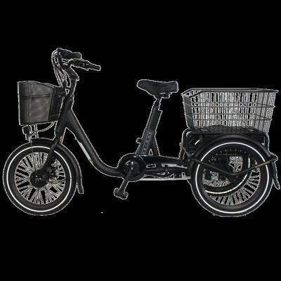 China OEM standard 3 wheel tricycle electric bike 250w 36v motor ebike tricycle for adult for sale