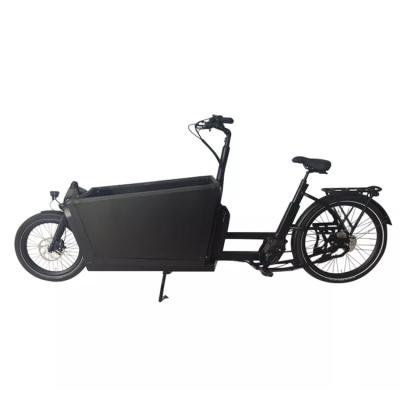 China New arrival elektrische bakfiets 48V 250W sport style 2 wheel luxury electric bicycle two wheel medium cargo bike for sale