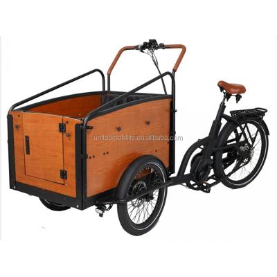 China 48V 250W 3 Wheels Electric Cargo Bike Multifunctional Chinese Cargo Electric Bike Tricycles 48V 250W For Adults for sale