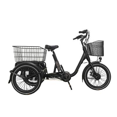 China Standard One Seat 250w Electric Drift Trike Electric Trike Enclosed Tricycle 3 Wheel e Bike Electric Cargo for sale