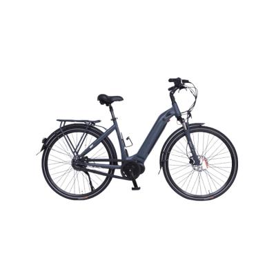 China High quality suitable price 2 seat aluminum alloy city eletric bike electric bicycle for sale