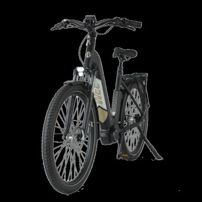 China Promotional Good Quality Fat Tire Aluminum Alloy Mountain Two Wheel Electric Bicycle for sale