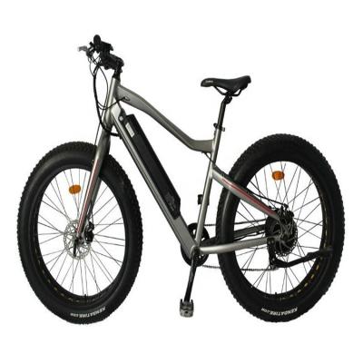 China Luxury Rear Tire Fashionable Eu 26 Inch Motor Electric Mountain Bike for sale