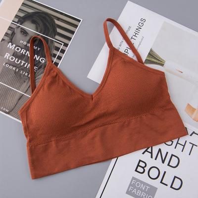 China Factory Direct Sales QUICK DRY Full Cup Bra Sports Big U Vest With Chest Wrap Straps Seamless Women Underwear for sale