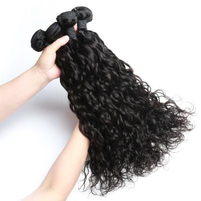 China Water Wave BEHAIR 100 Gram Mink Brazilian Water Wave Curly Remy Brazilian Virgin Hair 100% Raw Cuticle Aligned Hair Extensions for sale