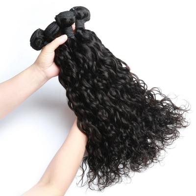 China BEHAIR 100% Natural Water Wave Hair Weft Bundles Raw Brazilian Virgin Water Wave 100 Grams Indian Hair Weave Vendors Weave Wave Hair Extensions for sale