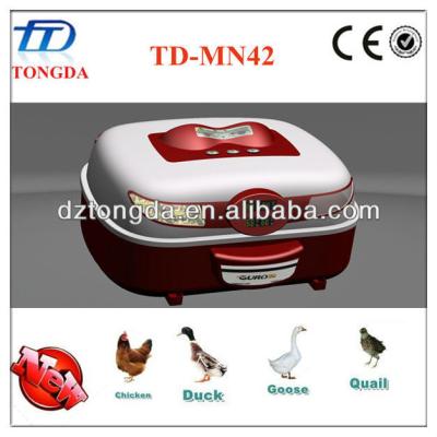 China automatic bird egg mini incubator-predeterminer for sale