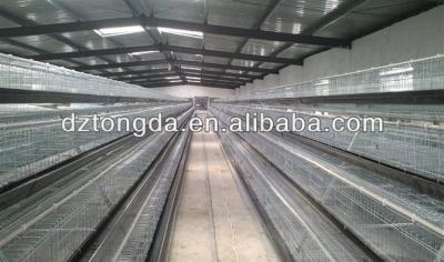 China High Quality Galvanized Steel Chicken Laying Cage Hot Sale for sale