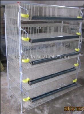 China High Quality Chicken Quail Cage For Sale for sale