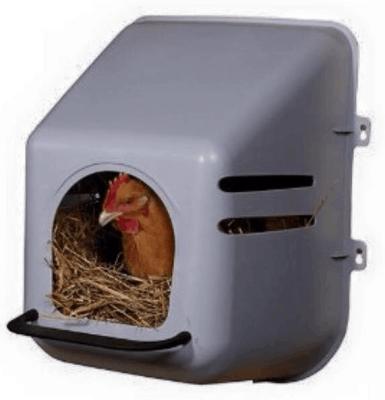 China chicken nest box/plastic chicken cage for sale