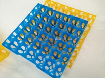 China cheap plastic egg tray for sale