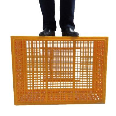 China Farms Plastic Poultry Transport Cage And Turnover Crate for sale