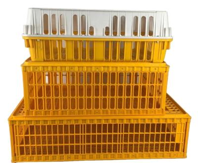 China Farms Live Chicken Transport Cage Chick Turnover Box Poultry Plastic Transport Crate For Duck Chicken Pigeon for sale