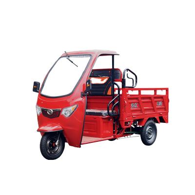 China Electric Cargo 3 Wheel Motorcycle Adults Tricycle Africa 1300w Adult Tricycle for sale