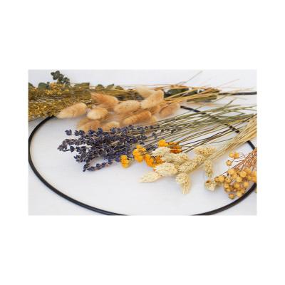 China Wedding Party Home Store Decoration DIY Dried Flower Set Garland Gift Idea Handwork Set Wholesale Natural Material Decoration For Party Home Wedding for sale