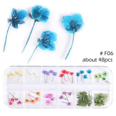 China 12 Colors Flower Artistic Dry Box With Real Flower Eternal Purple Nail Full Star Sky Flower Face Dry Makeup for sale