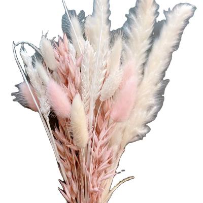 China Popular dry flower bouquet rabbit tail white tubular grass stipe set dry flower wedding decoration wholesale for sale