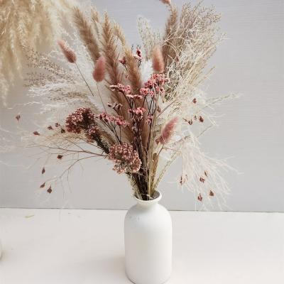 China Bunny Dust Bunny Grass Bunny Grass Bunny Grass Bunny Tail Flower Package Decorative Hot Selling Dry Stipe for sale