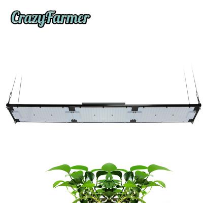 China Seed Starting Geeklight Full Spectrum To Grow lm301h To Grow Lights 3000k 3500k Led To Grow Light 320w Anna Lin for sale