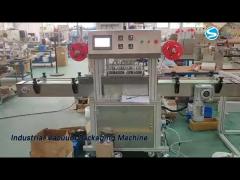 Automatic Industrial Vacuum Packaging Machine Sealing 1000W For Food