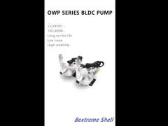 Automotive Water Pump